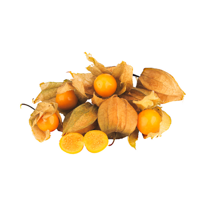 Bio Physalis Peru Klasse II 100g Karton