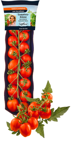 products/000000000080933656.jpg
