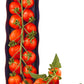 products/000000000080933656.jpg