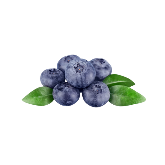 EDEKA Genussmomente Kulturheidelbeeren 125g Karton