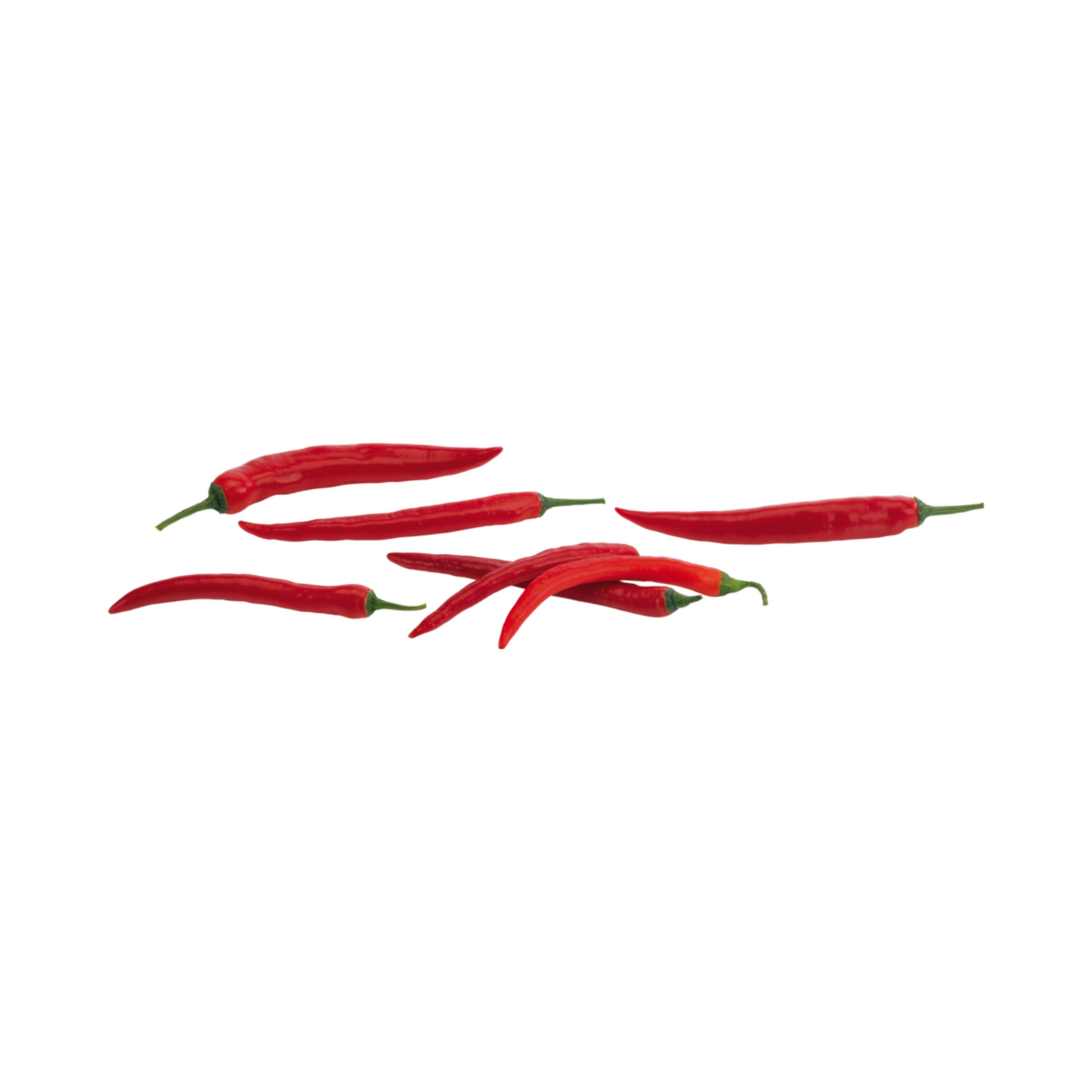 products/000000000081179288.png