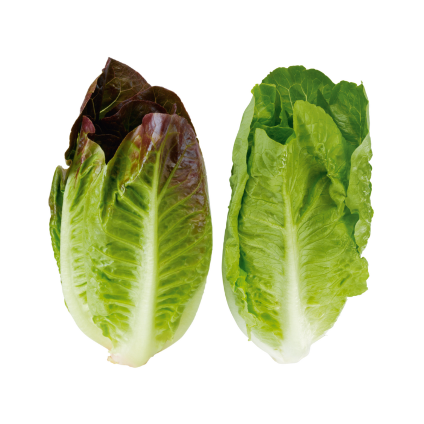 Romanasalatherzen Spanien Klasse I 4ST Flowpack