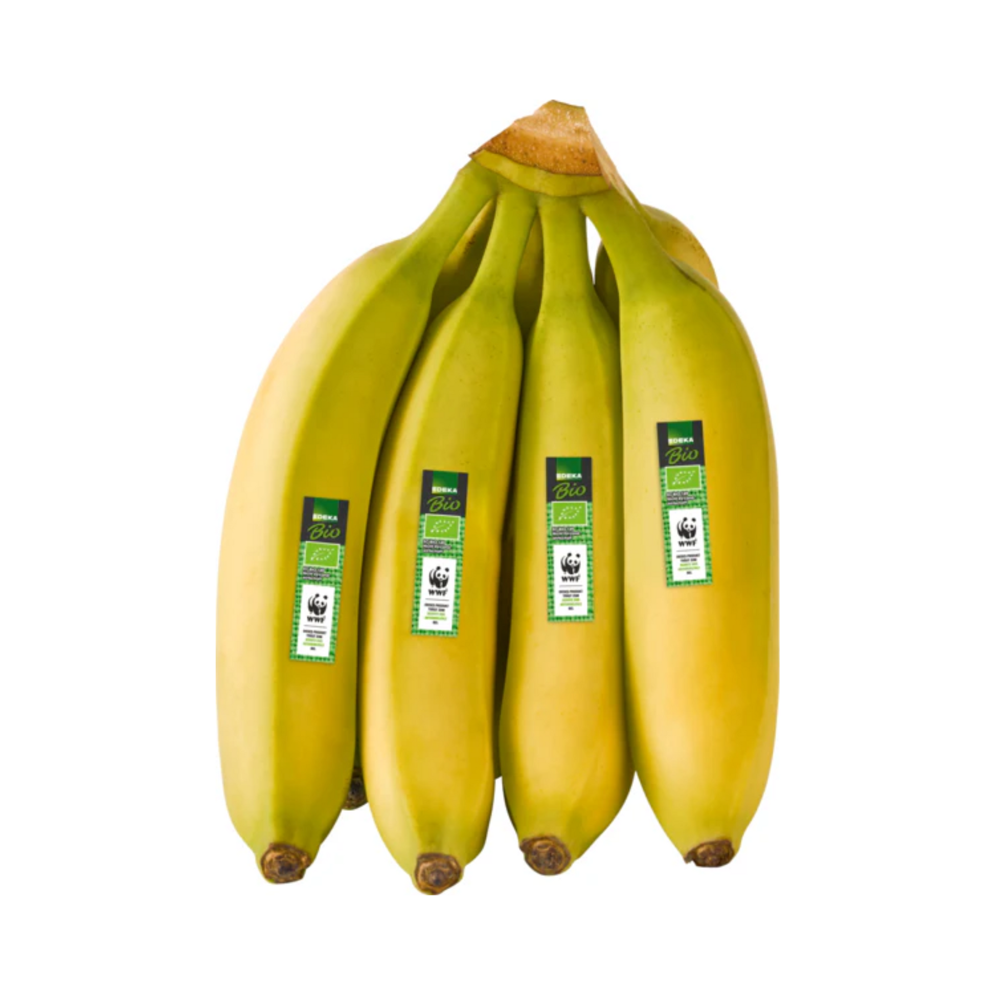 products/000000000081270785.png