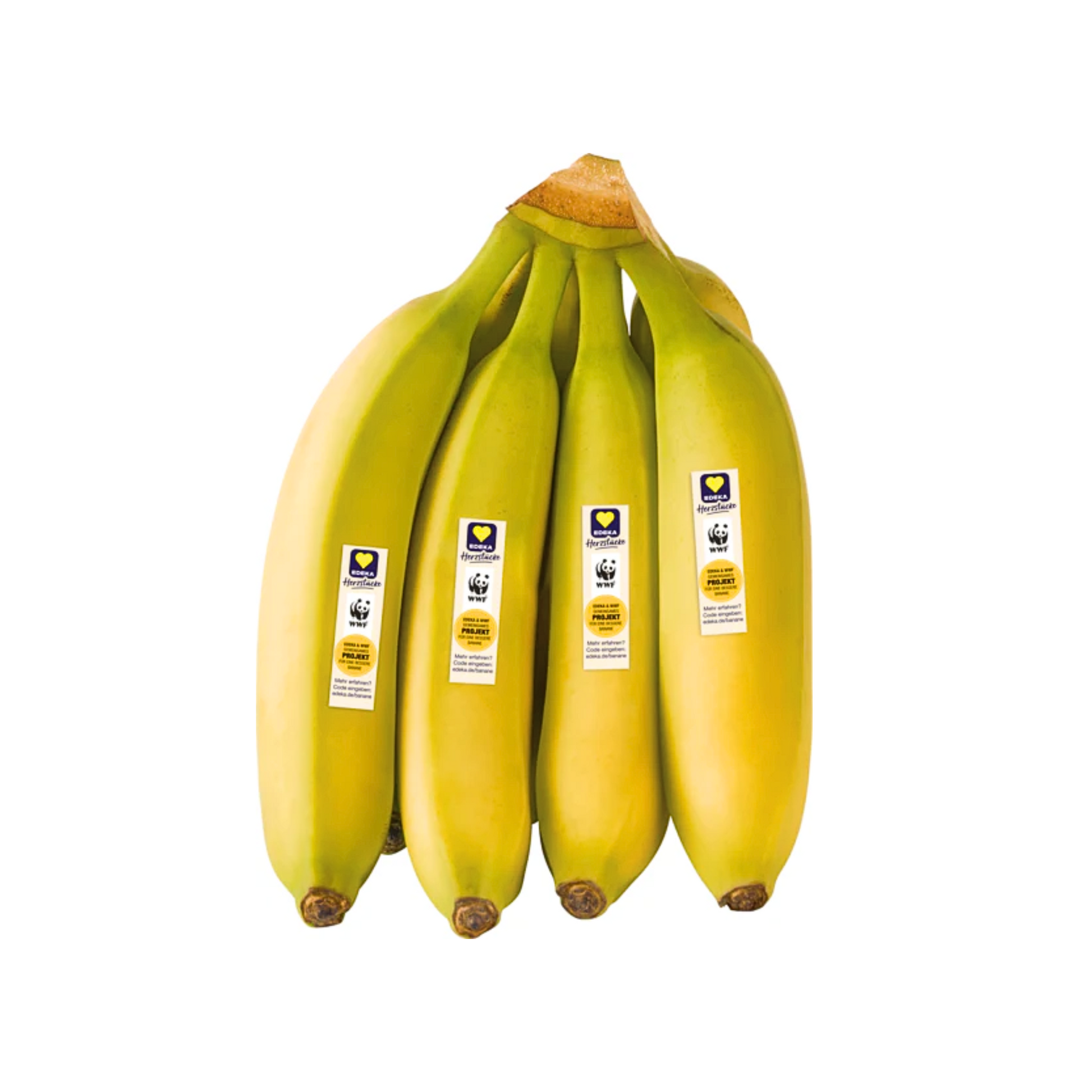 products/000000000081280133.png