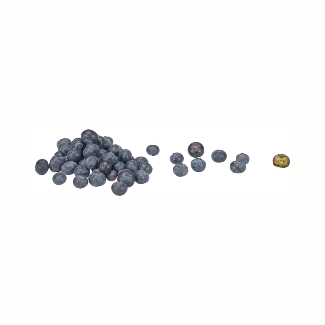 products/000000000081357385.png