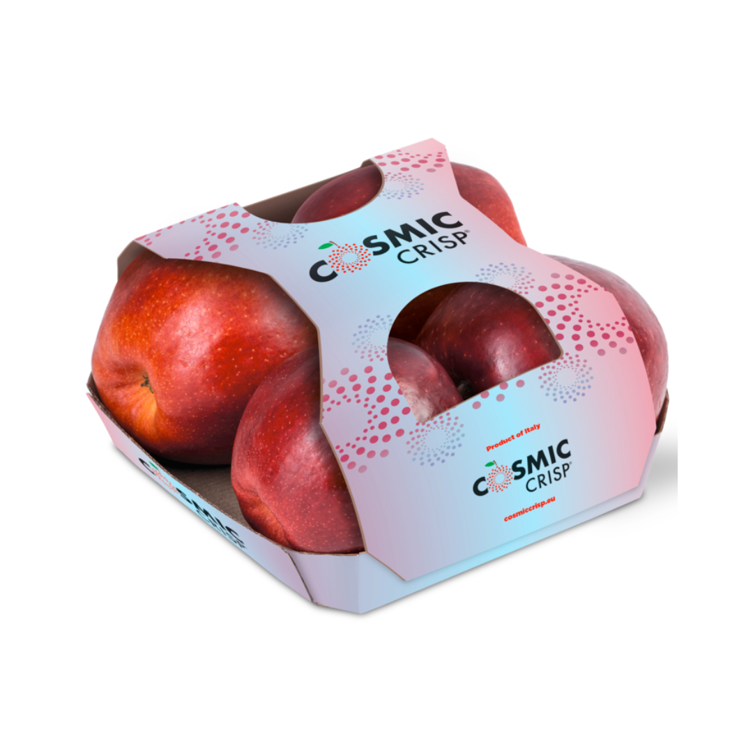 products/000000000081374373.png