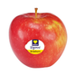 products/000000000081385274.png