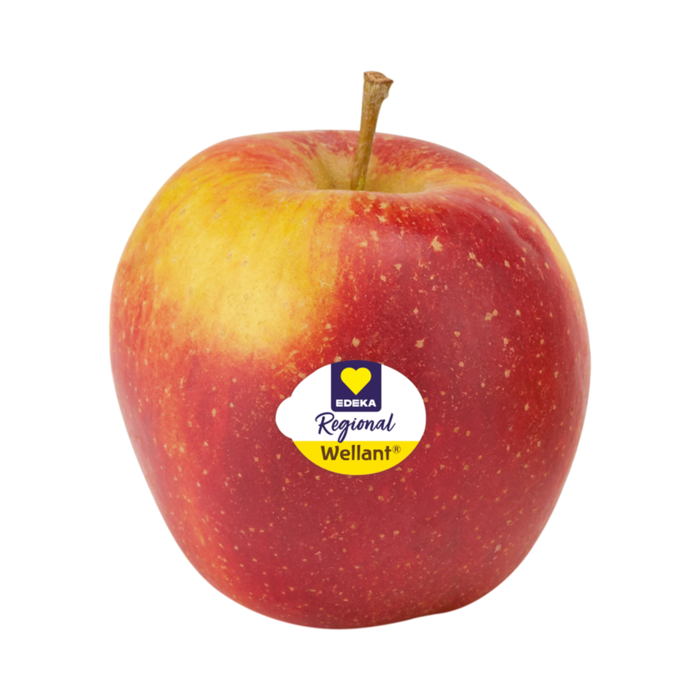 products/000000000081385281.png