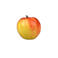 products/000000000081385755.png