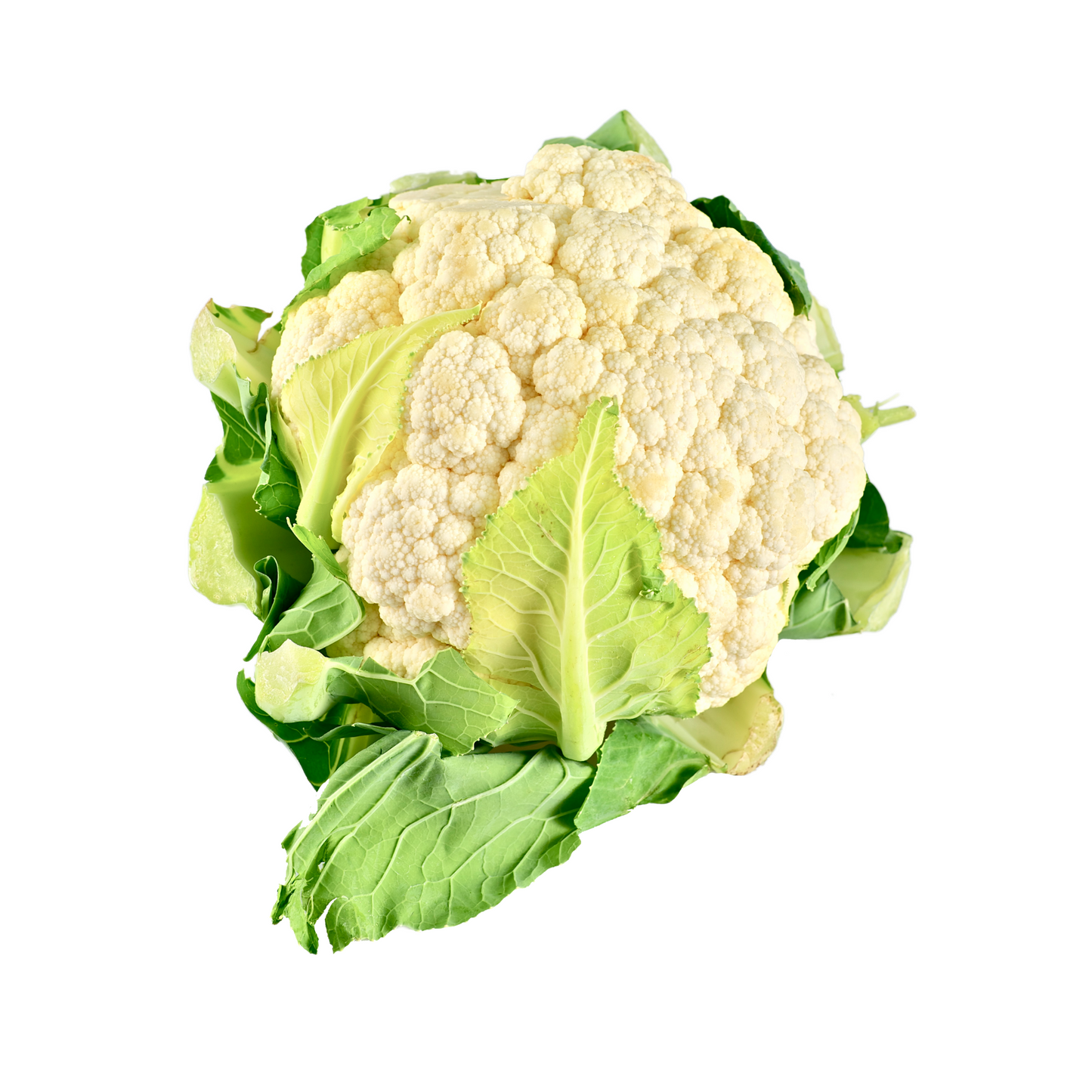 Bio EDEKA Blumenkohl 8St Italien Klasse II Folie