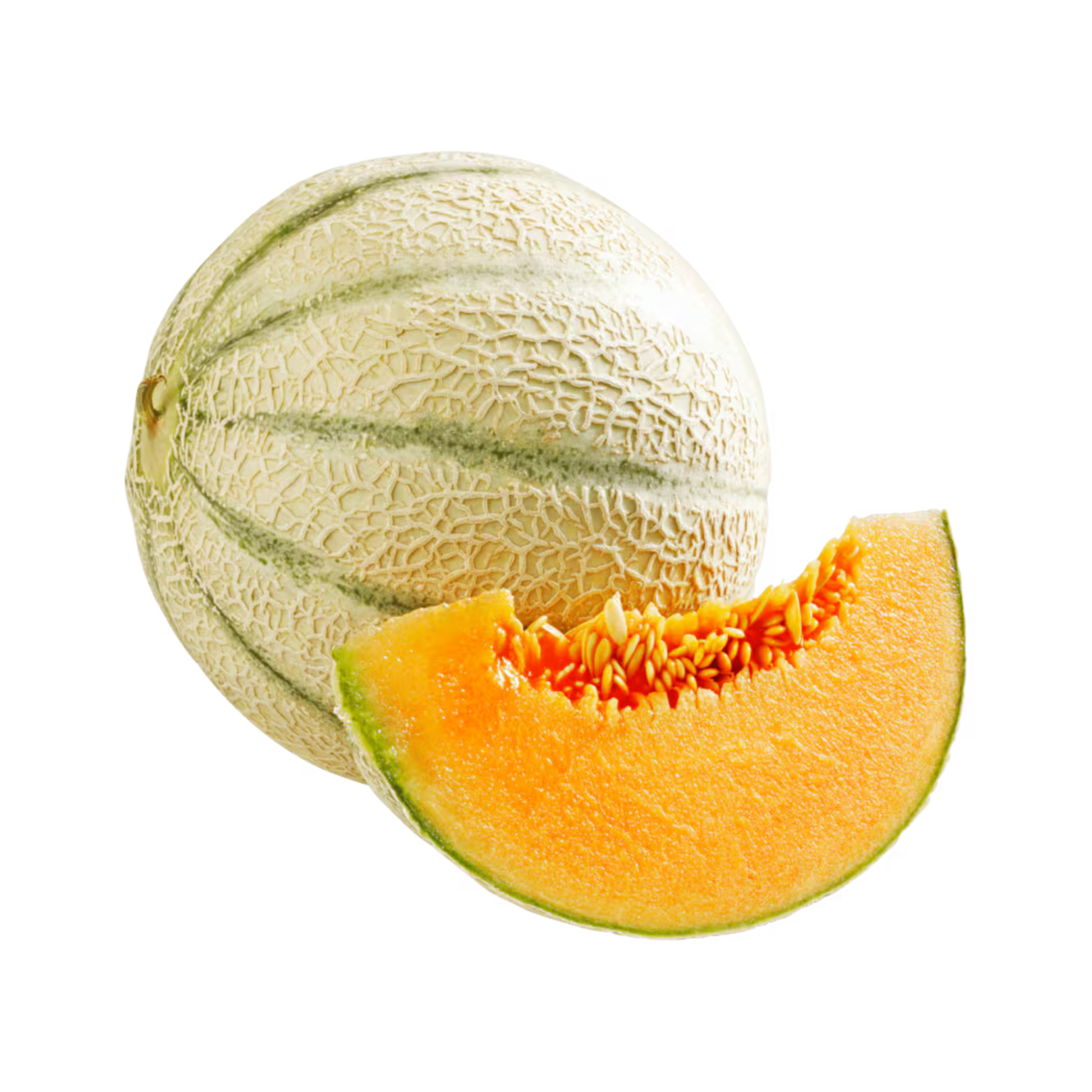 products/000000000083480045.png