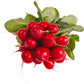 products/000000000085170047.jpg