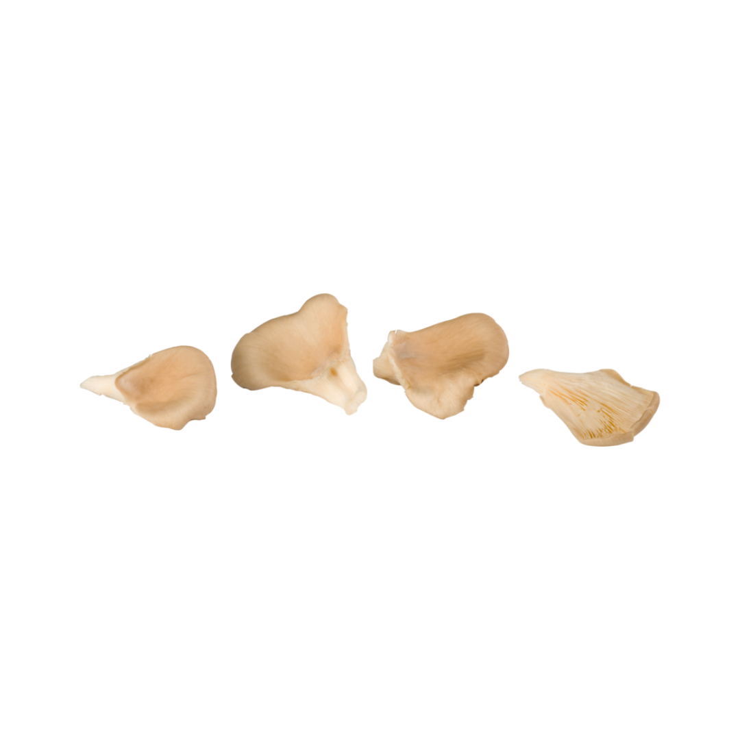 products/000000000086040033.png