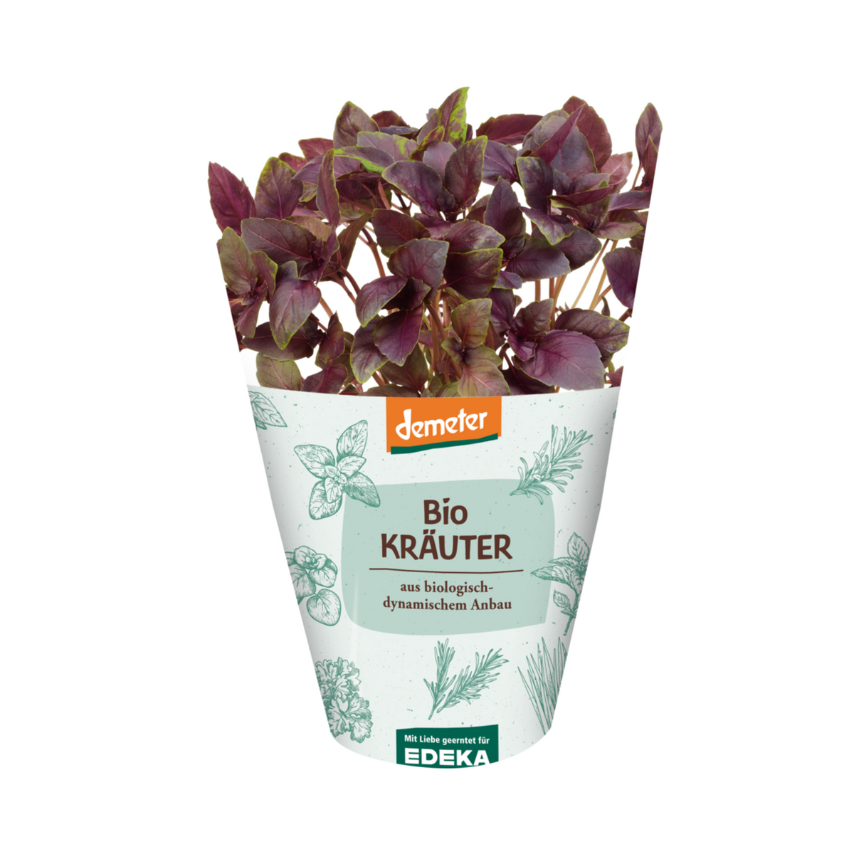 products/000000000086210122.png