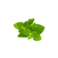 products/000000000086570022.png