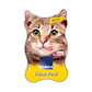 products/000000000731091003.png
