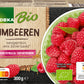 products/000000001194261000.jpg