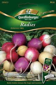 Profi Radies Ostereier Mix PG08