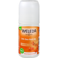 products/000000003971598004.png