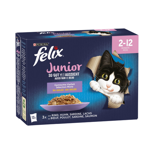 Felix Junior so gut wie es aussieht Gemischte Vielfalt 12x85g