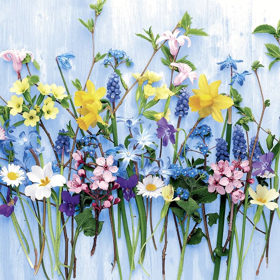 products/000000005541208003.jpg
