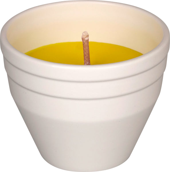 products/000000005931549000.jpg