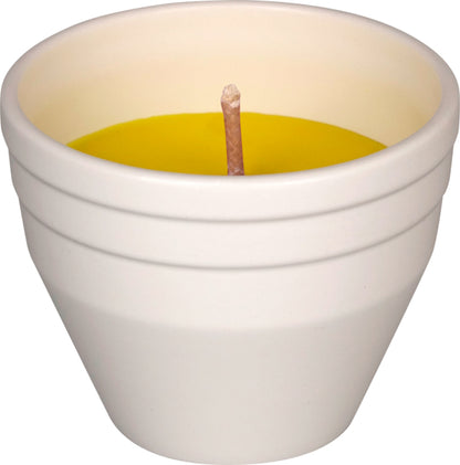 EDEKA zuhause Citronella Keramiktopf gelb