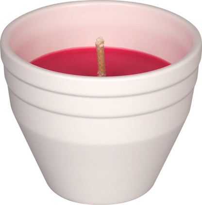 EDEKA zuhause Citronella Keramiktopf pink