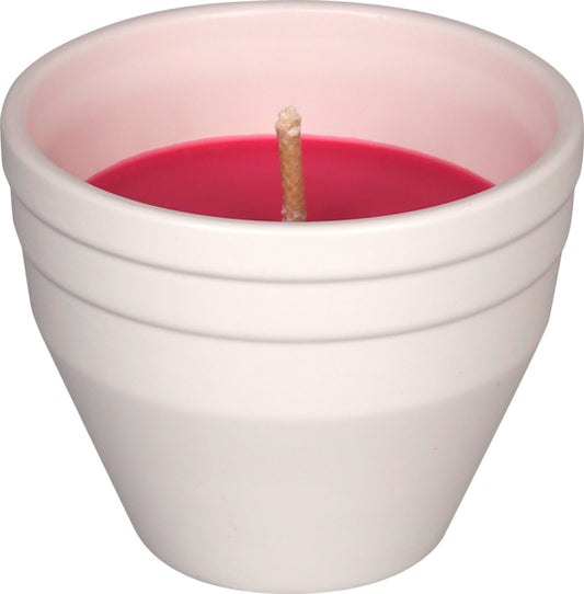 EDEKA zuhause Citronella Keramiktopf pink