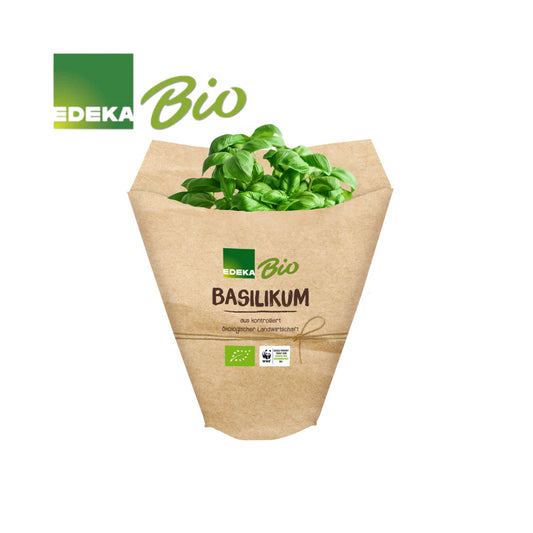 EDEKA Bio Basilikum im Topf 13cm