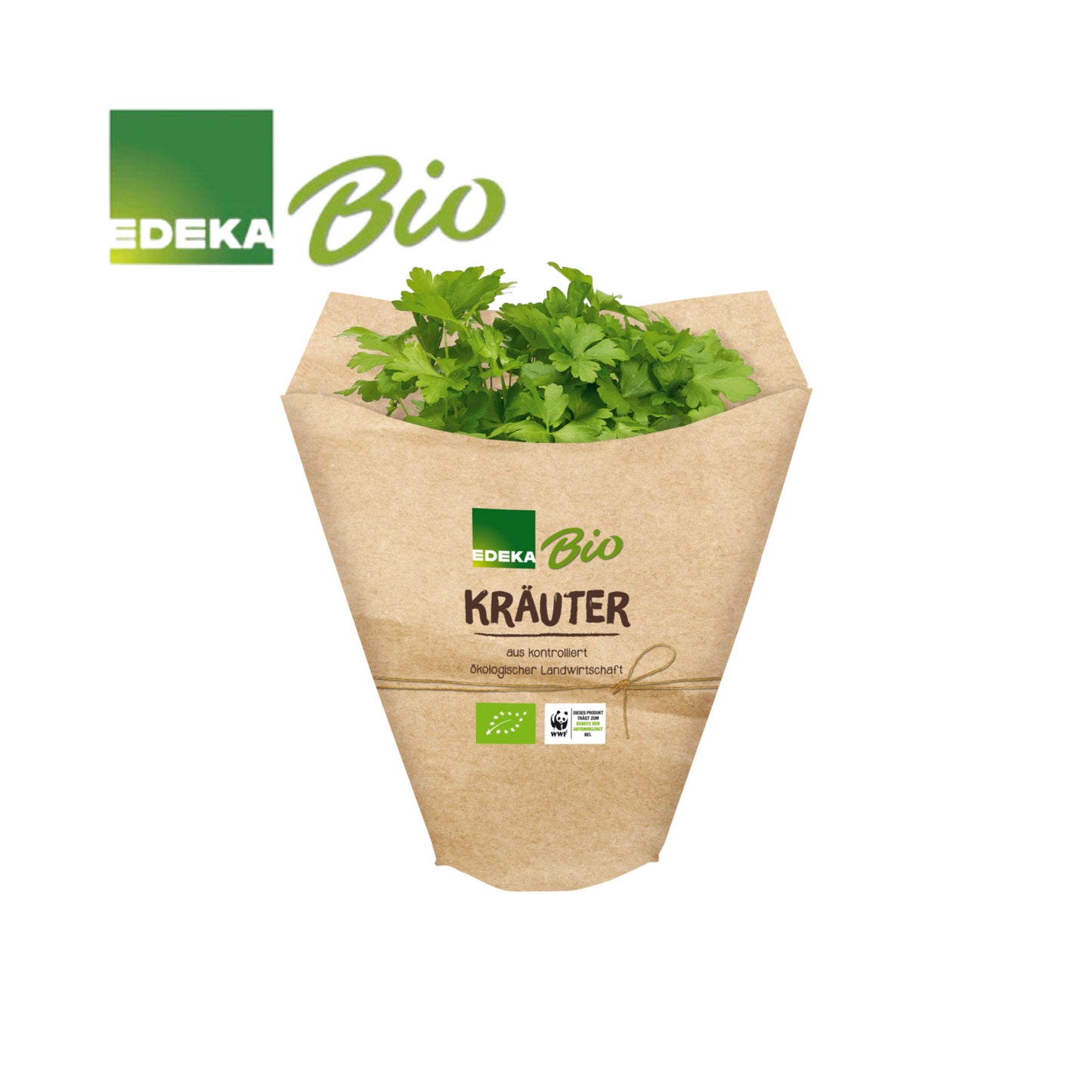 EDEKA Bio Rosmarin im Topf 13cm