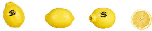 LemonGold Zitronen behandelt Südafrika Klasse I