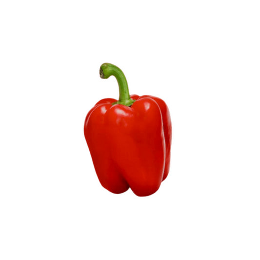 Paprika rot Mindestgewicht 200g Niederlande Klasse I