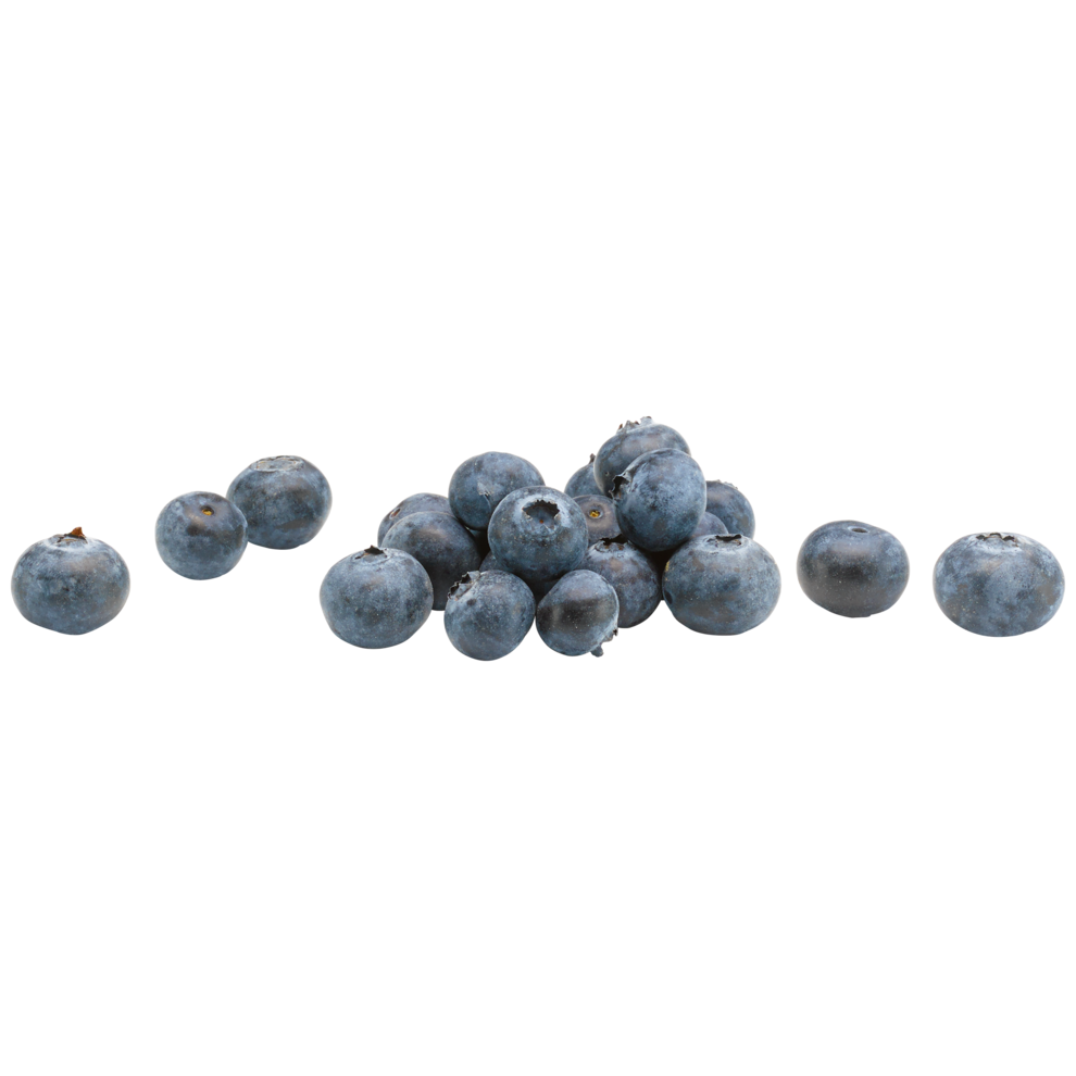 Bio EDEKA Kulturheidelbeeren Spanien Klasse II 300g TopSeal