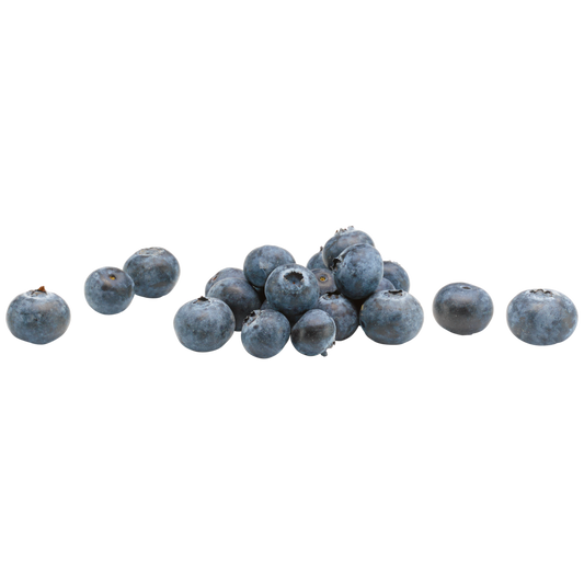 Bio EDEKA Kulturheidelbeeren Spanien Klasse II 300g TopSeal