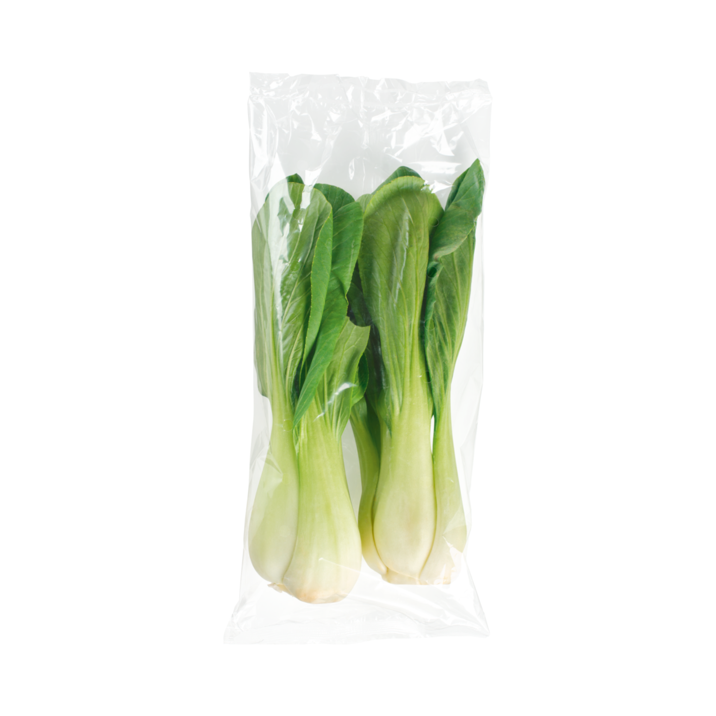Bio Pak Choi Deutschland Klasse II 300g Beutel