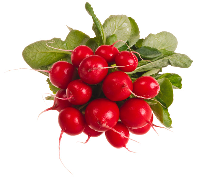 Radieschen Deutschland Klasse I Bund