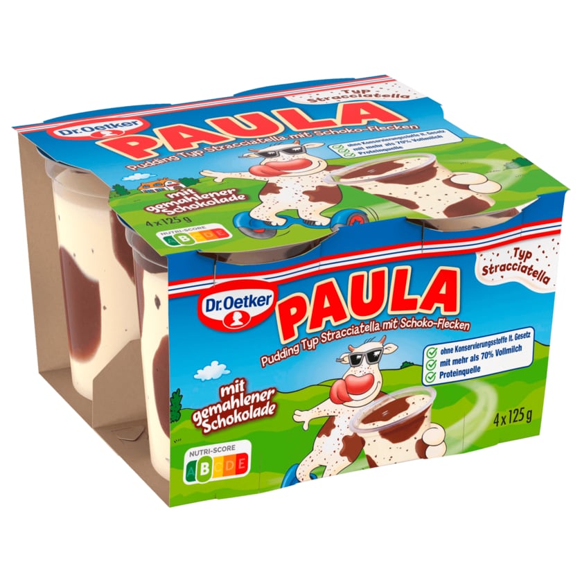 Dr.Oetker Paula Stracciatella mit Schoko 4x125g