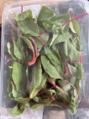 Bio Mangold rot Italien 100g Schale im Flowpack