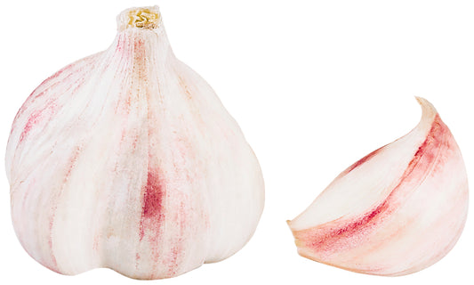 Knoblauch trocken weiß Spanien Klasse I