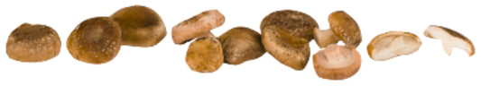 Bio EDEKA Shiitake Pilze mittel (30-60mm) Deutschland