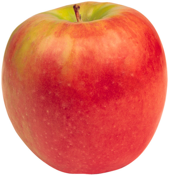 Äpfel Cripps Pink (Pink Lady) Frankreich Klasse I