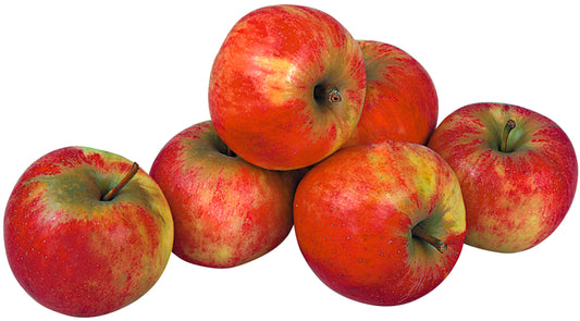 Unsere Heimat Äpfel Elstar Deutschland Klasse I