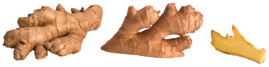 Bio Ingwer Brasilien Natural Branding