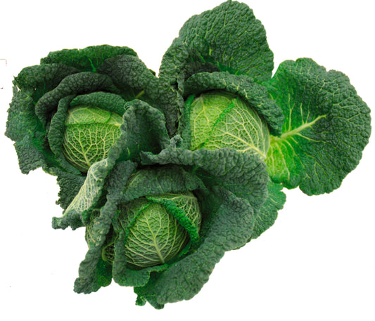 Unsere Heimat Wirsing Deutschland Klasse I