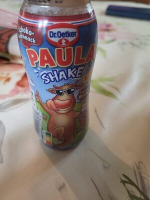 Dr.Oetker Paula Shake Schoko 180ml DPG