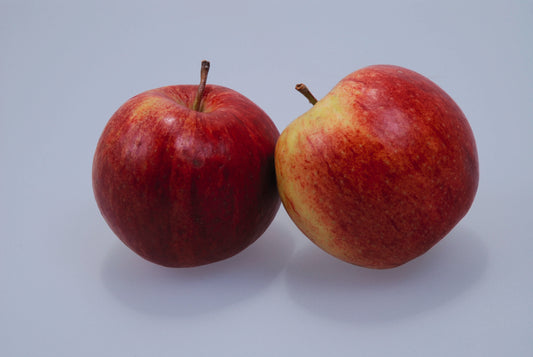 Unsere Heimat Äpfel Boskoop Deutschland Klasse I