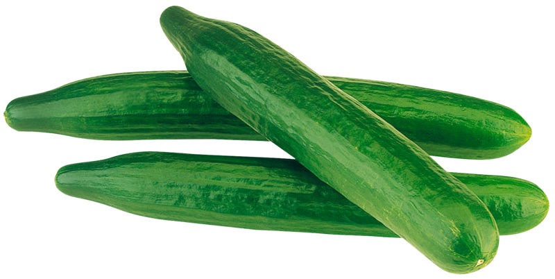 GUT&GÜNSTIG Salatgurken 350-400g Italien Klasse I