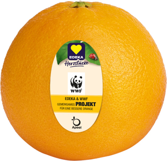 EDEKA Herzstücke Orangen behandelt Südafrika Klasse I