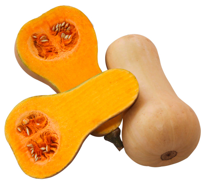 Speisekürbisse Butternut Deutschland